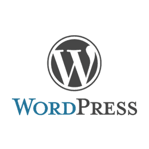 WordPress CMS Website Development in Delhi